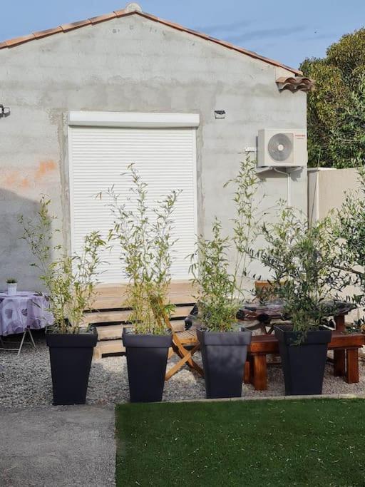 Appartement 53 M² - Pignans Au Coeur Du Var 外观 照片